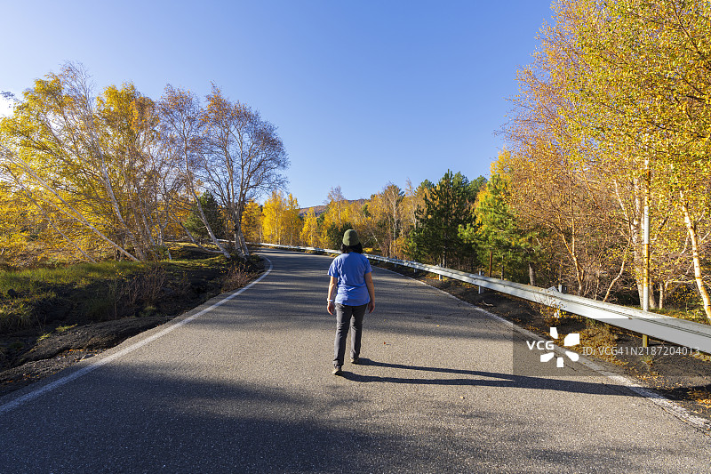 一个人在五彩斑斓的树林中走在马路中央图片素材