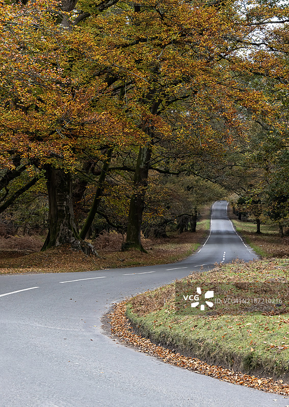 英国秋天的色彩图片素材