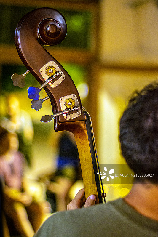 低音提琴。调音钉和低音提琴演奏者。图片素材