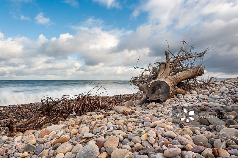海滩上的漂流木-斯佩塞德。图片素材