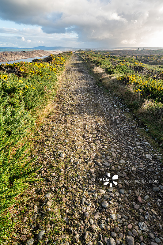 靠近斯佩河金斯顿的莫雷海岸步道图片素材