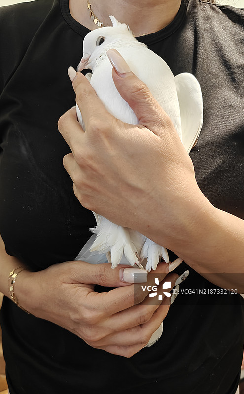 女性手持玩具的中部特写图片素材