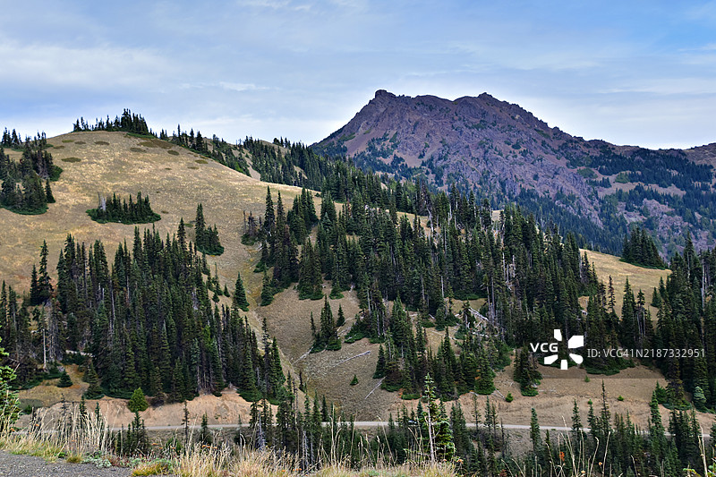 华盛顿州波特安吉尔斯的松树全景与天空相映图片素材
