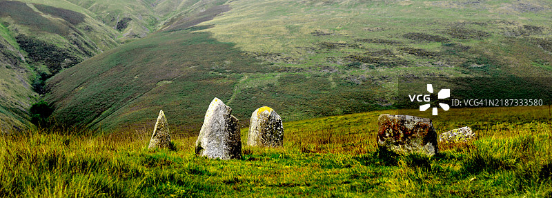 田野的美丽景色图片素材