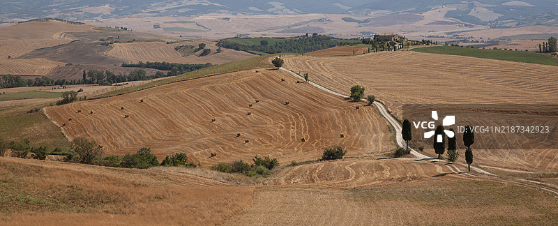 意大利托斯卡纳。瓦尔多尔恰的麦田。图片素材