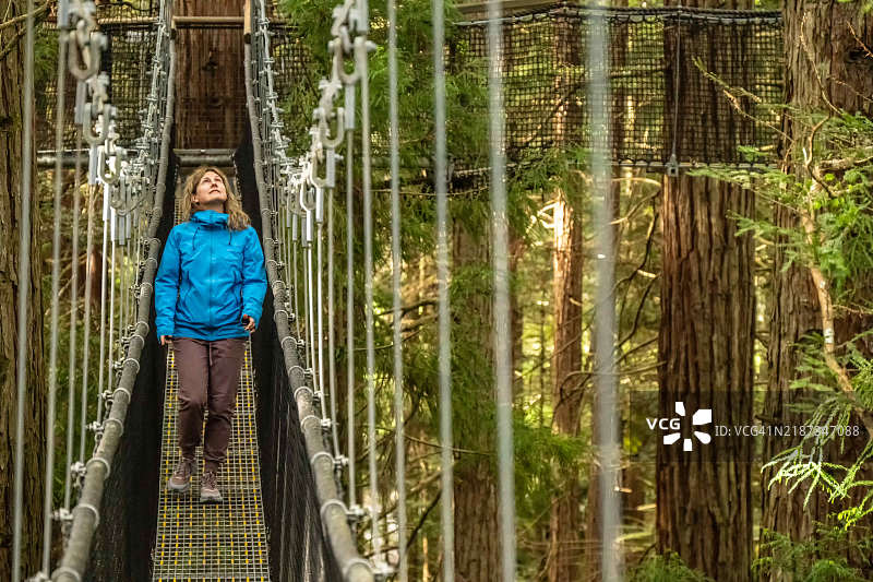 在新西兰罗托鲁瓦附近的瓦卡雷瓦雷瓦森林中，穿越树蕨和巨型红杉的树木小径图片素材