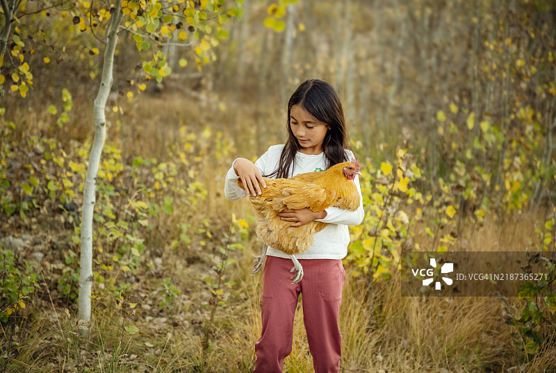 8岁漂亮女孩抱着她的小鸡图片素材