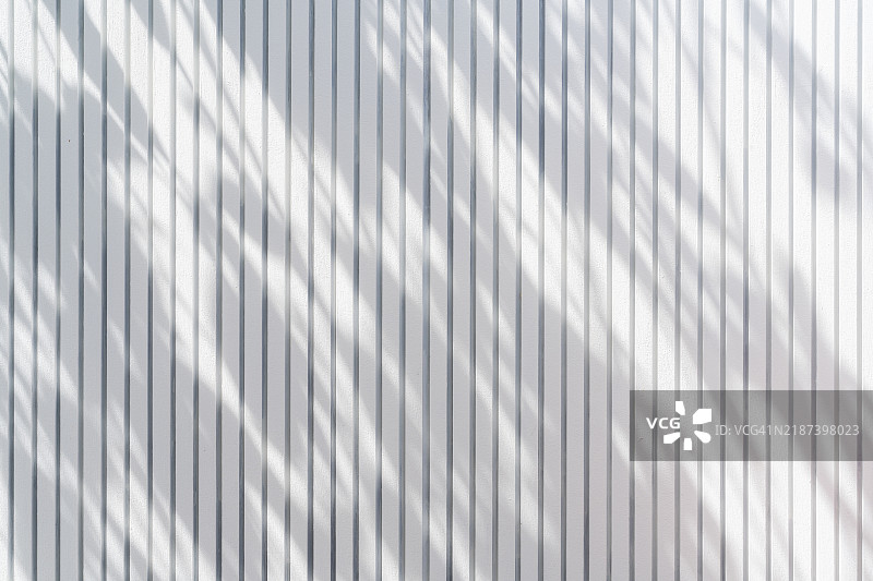 宁静的垂直百叶窗与柔和的自然光影图案图片素材