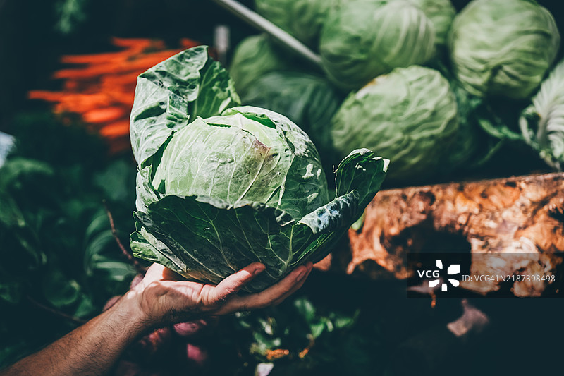 一个男人在农贸市场上拿着新鲜的卷心菜。图片素材