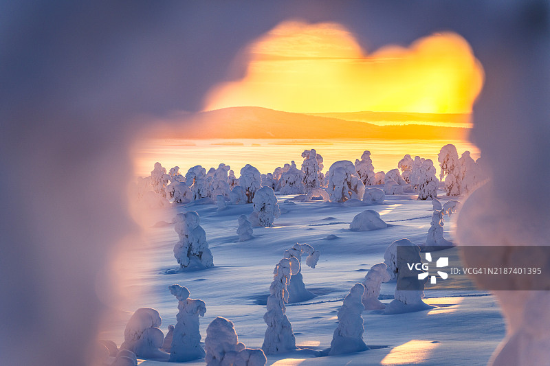 冬季雪林中的超现实冰雕图片素材