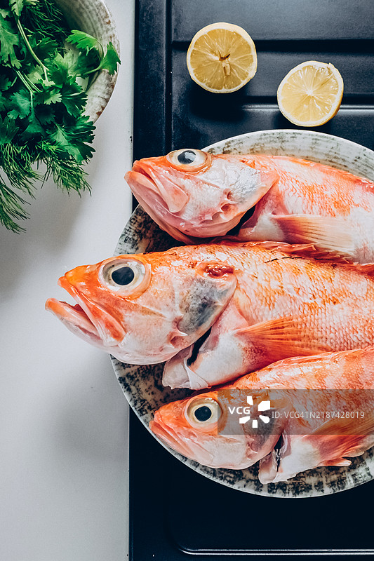 新鲜干净的海鲈鱼从上方俯视放在盘子里。特写整条石斑鱼。图片素材