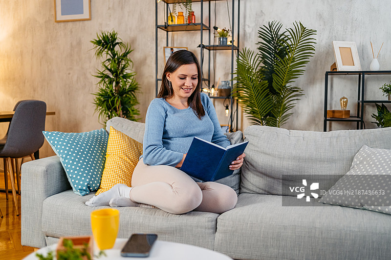 年轻孕妇在客厅里阅读一本书图片素材