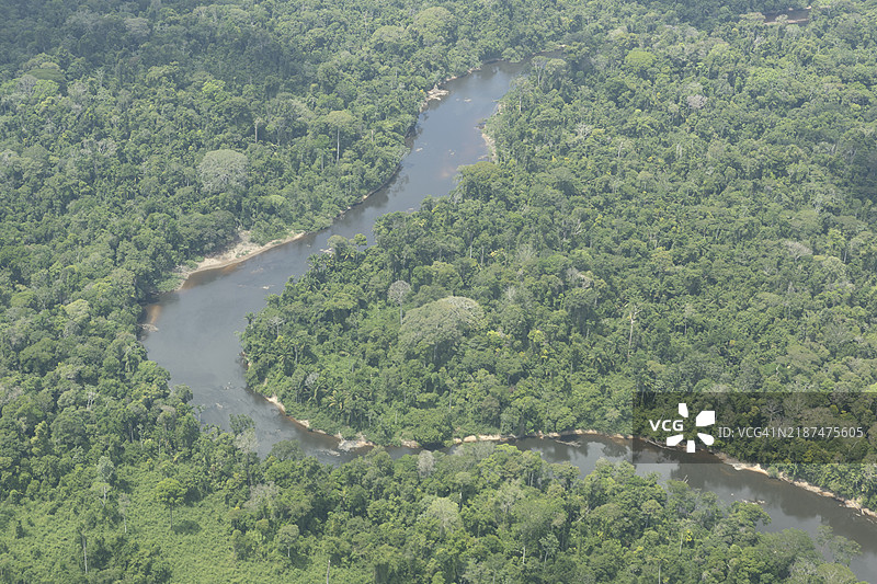 卡巴莱博的雨林。图片素材