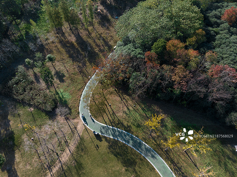 公共公园中的人行道图片素材