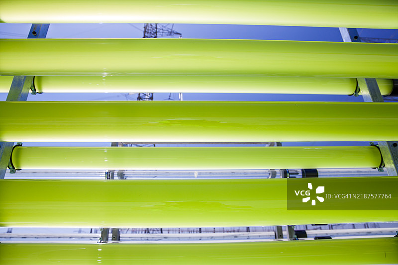 充满绿色藻类的管状生物反应器固定二氧化碳图片素材