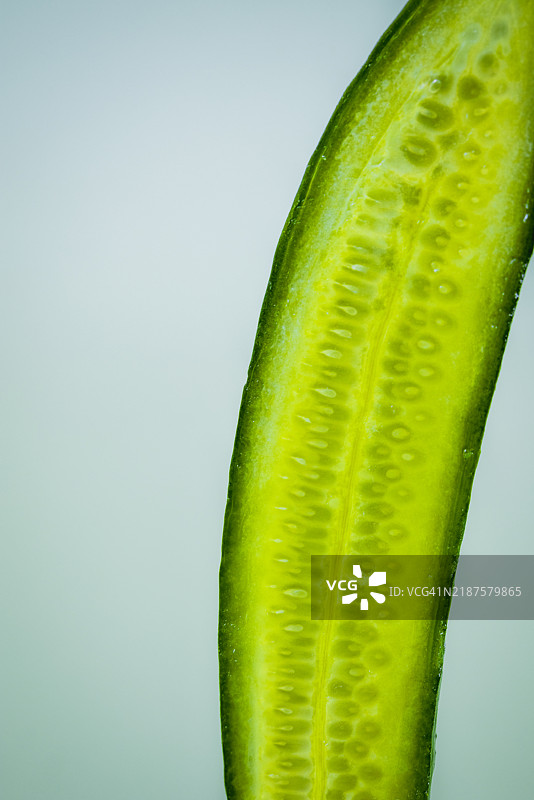黄瓜片图片素材