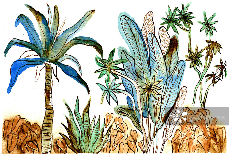 热带花园景观的水彩画图片素材