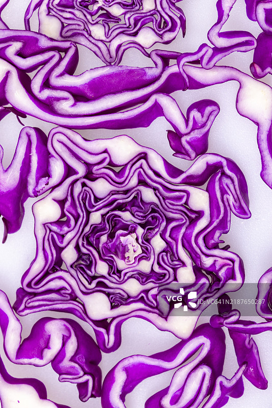 紫甘蓝图片素材