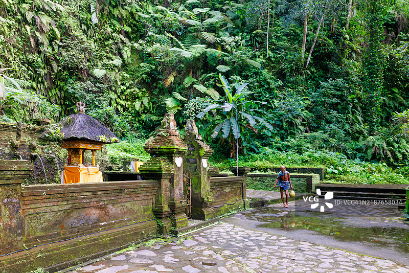 一名男子在印度尼西亚巴厘岛的密林中，靠近一座寺庙，提着一个椰子。图片素材