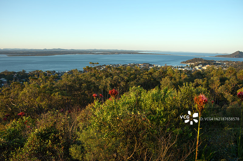 从甘甘山瞭望台向北俯瞰新南威尔士州的尼尔森湾图片素材
