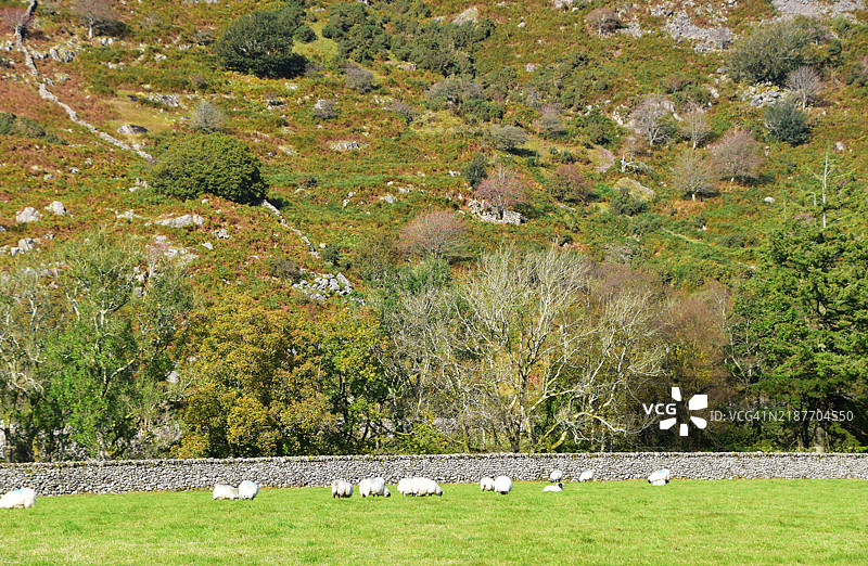 风景如画的埃斯克代尔图片素材