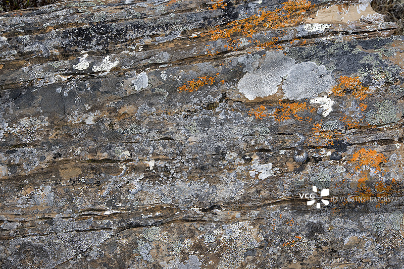 石灰岩和少量白云岩的岩石表面特写图片素材