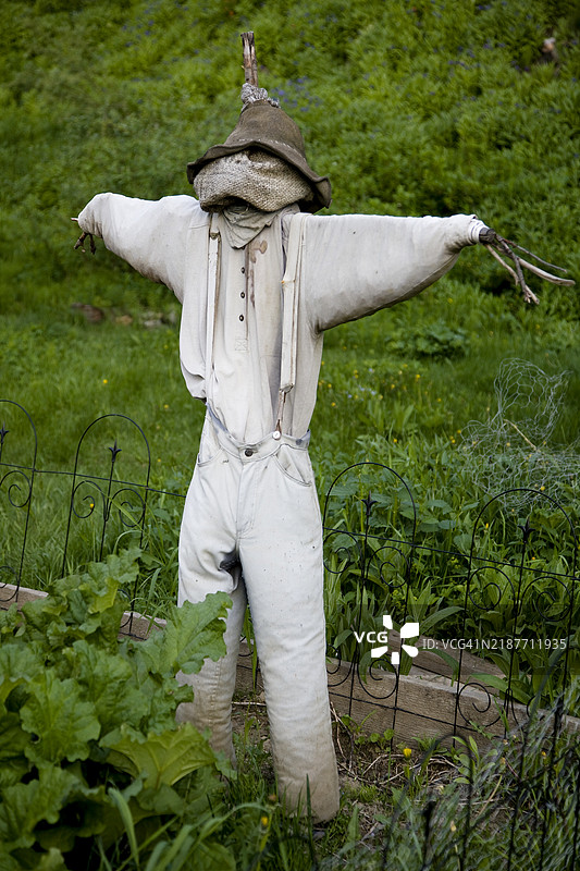 稻草人特写图片素材
