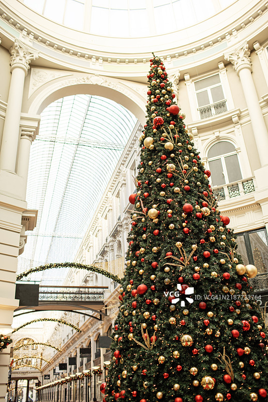 街上的圣诞树图片素材