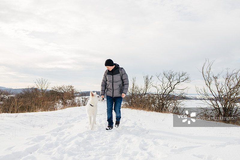 一个男人在冬天遛他的白色瑞士牧羊犬图片素材