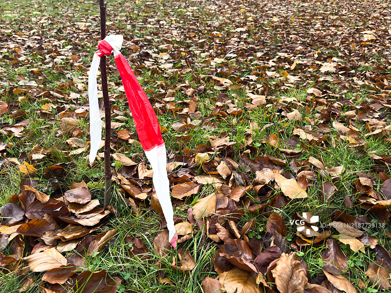 自然中的红白隔离带图片素材