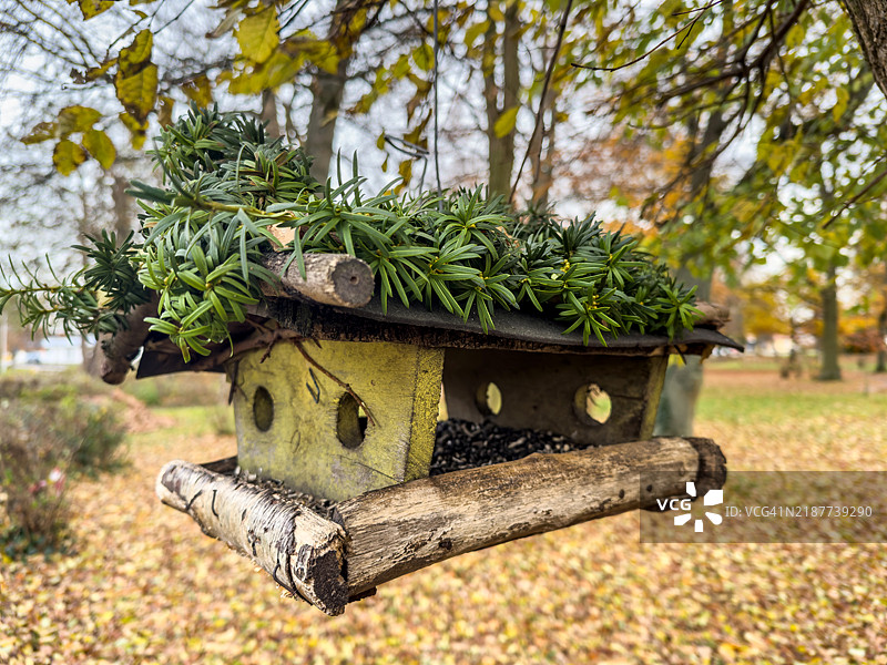 公园里树上的鸟屋图片素材