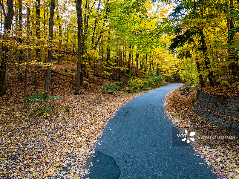 多伦多，加拿大，秋季的东唐河小径、唐河和罗斯代尔图片素材