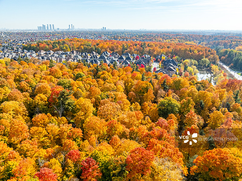 加拿大沃恩市伍德布里奇的皮恩村德尔村和科特赖特保护中心图片素材