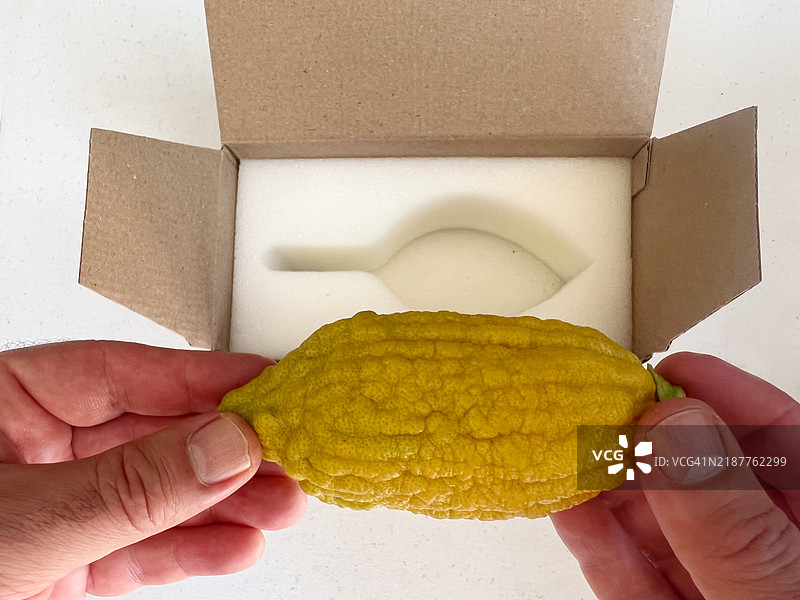 视角：一个人打开装有黄柠檬（Etrog）的盒子图片素材