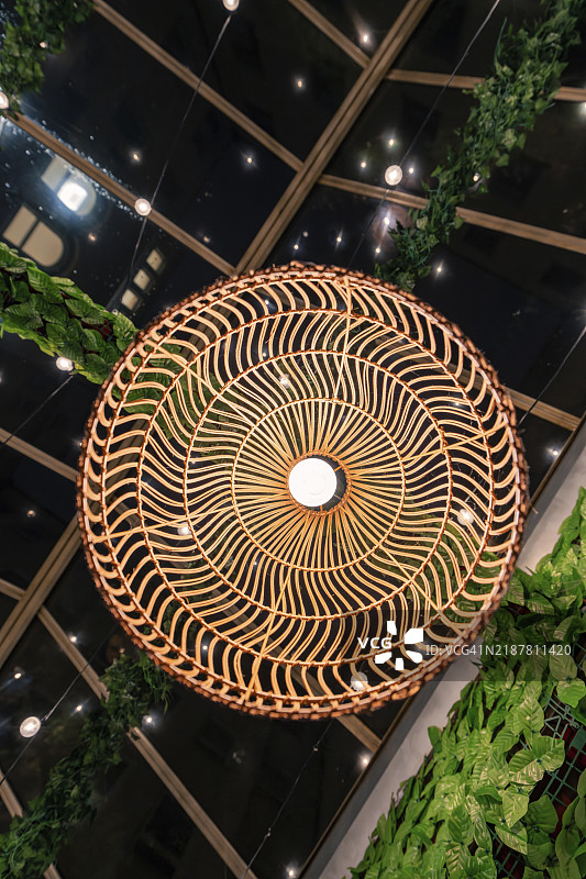 现代吊灯与植物装饰的时尚室内，德国斯图加特，欧洲图片素材