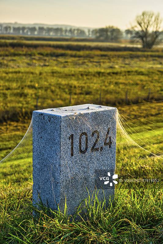 德国布兰登堡州施韦特附近堤坝上的公里石上的蛛网图片素材