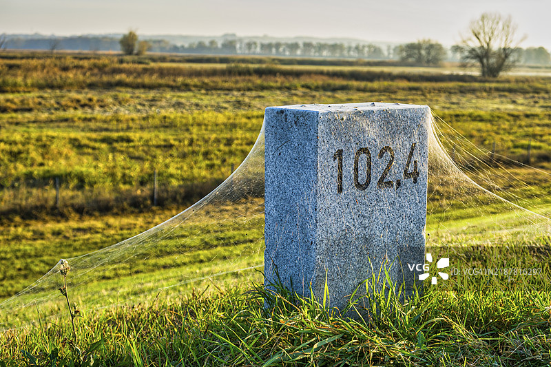 德国布兰登堡州施韦特附近堤坝上的公里石上的蛛网图片素材