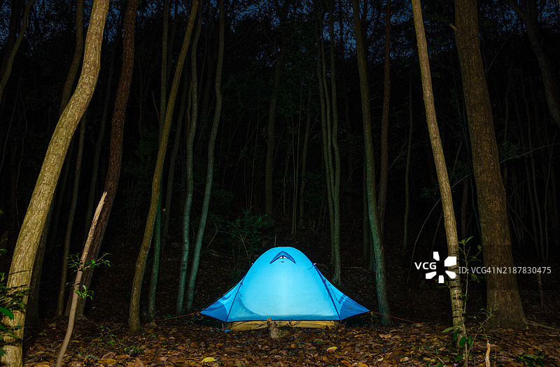 夜间在森林里露营帐篷中图片素材