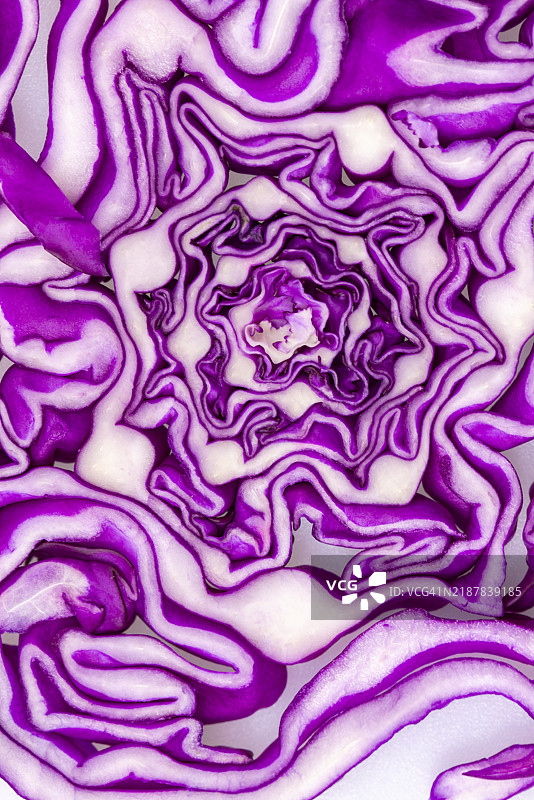 紫甘蓝图片素材