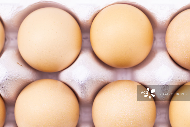 纸箱中的鸡蛋图片素材