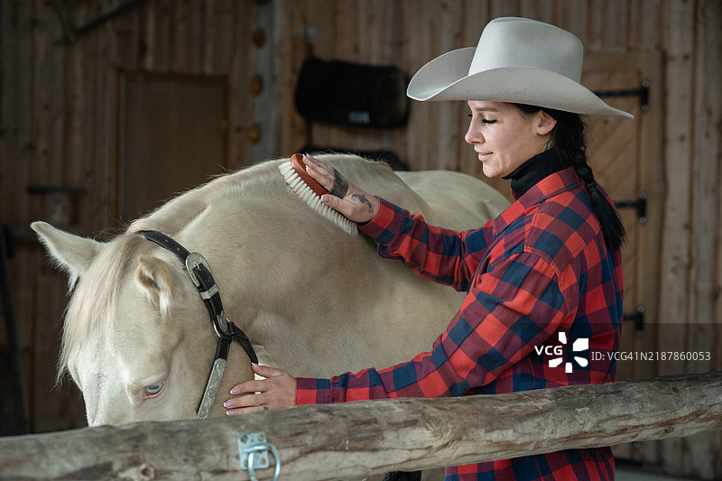 骑马的女性西方骑手与马匹图片素材