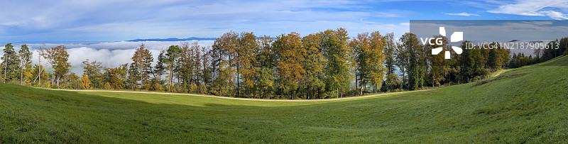 五彩斑斓的秋季森林在高雾前，雾线，维森堡，维森，索洛图恩，瑞士，欧洲图片素材