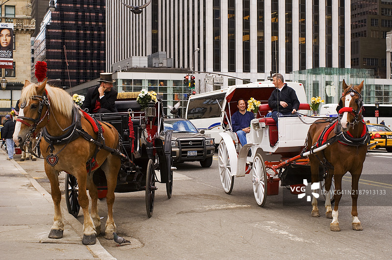 中央公园的马车可供游览，位于纽约市中城曼哈顿。图片素材