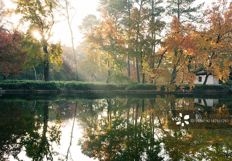 苏州的枫叶自然风光与倒影图片素材