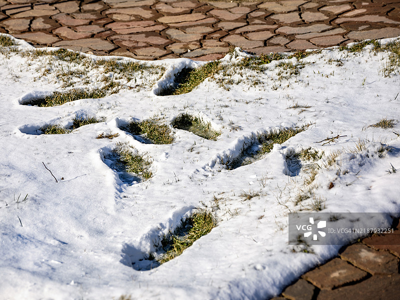 踩在冰冻的草坪上图片素材