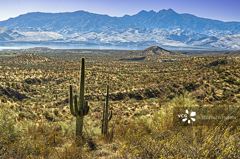 山脉、湖泊和仙人掌图片素材