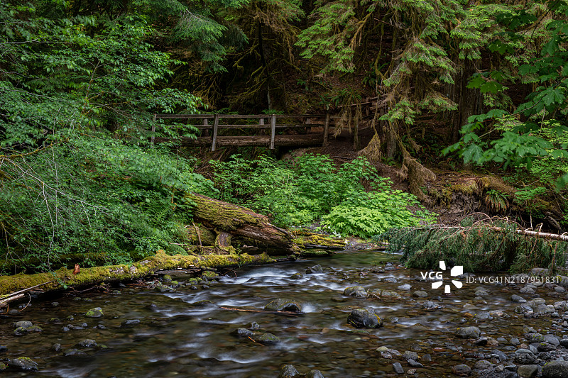 华盛顿州奥林匹克国家公园的索尔杜克河图片素材