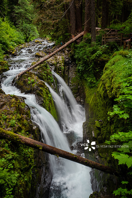 奥林匹克国家公园的索尔杜克瀑布图片素材