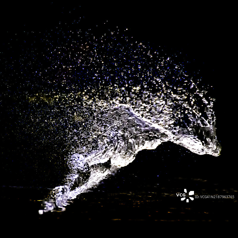 动态水花形成奔跑的马的形状图片素材