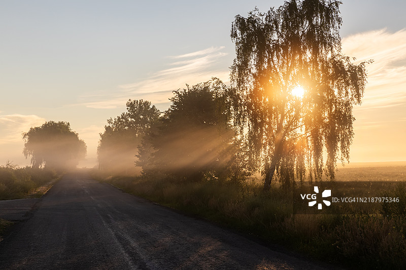 阳光明媚的雾霭清晨乡间小路图片素材